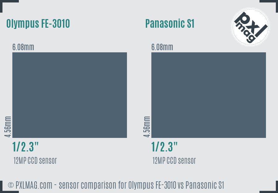 Olympus FE-3010 vs Panasonic S1 sensor size comparison