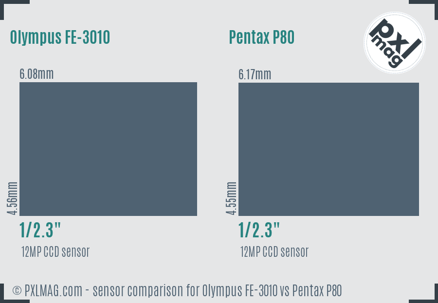 Olympus FE-3010 vs Pentax P80 sensor size comparison