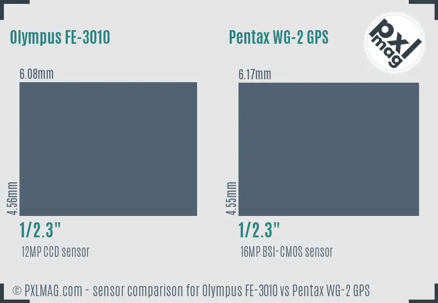 Olympus FE-3010 vs Pentax WG-2 GPS sensor size comparison