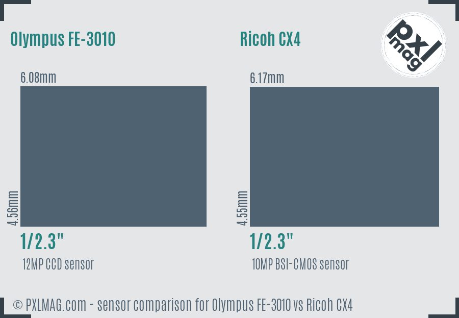 Olympus FE-3010 vs Ricoh CX4 sensor size comparison