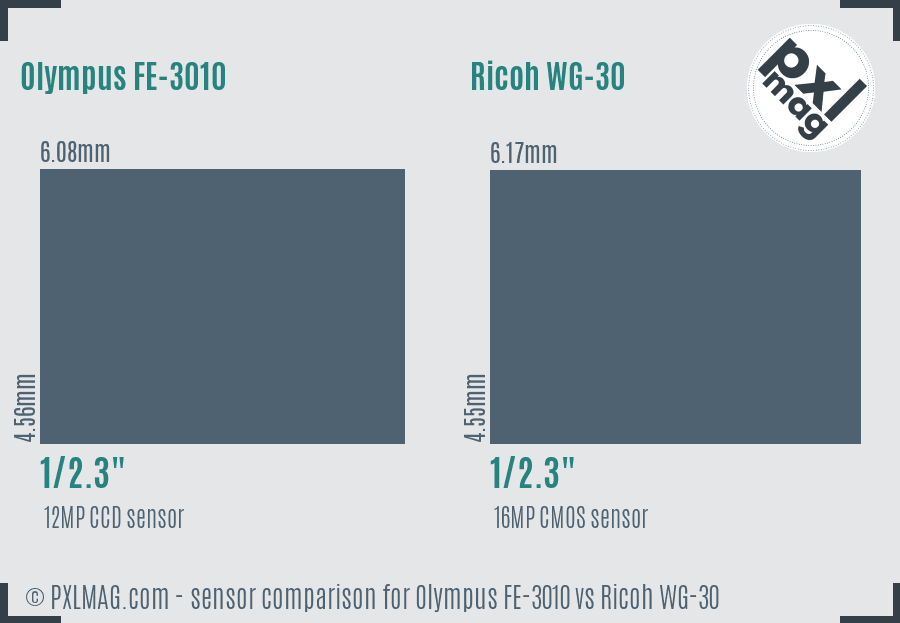 Olympus FE-3010 vs Ricoh WG-30 sensor size comparison