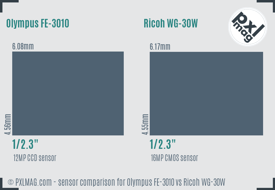 Olympus FE-3010 vs Ricoh WG-30W sensor size comparison