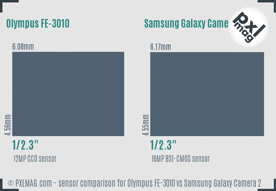 Olympus FE-3010 vs Samsung Galaxy Camera 2 sensor size comparison