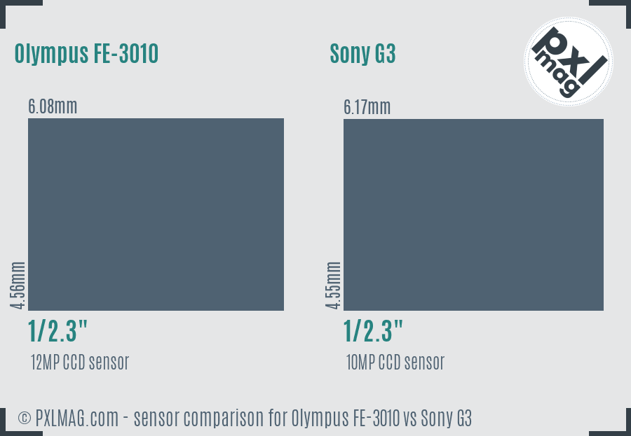 Olympus FE-3010 vs Sony G3 sensor size comparison