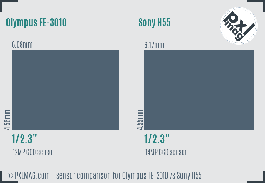 Olympus FE-3010 vs Sony H55 sensor size comparison
