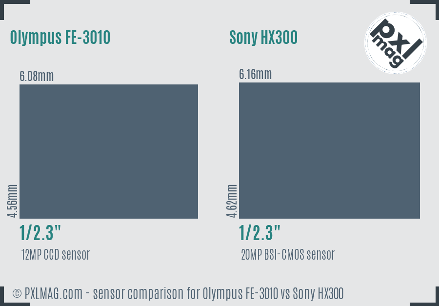 Olympus FE-3010 vs Sony HX300 sensor size comparison