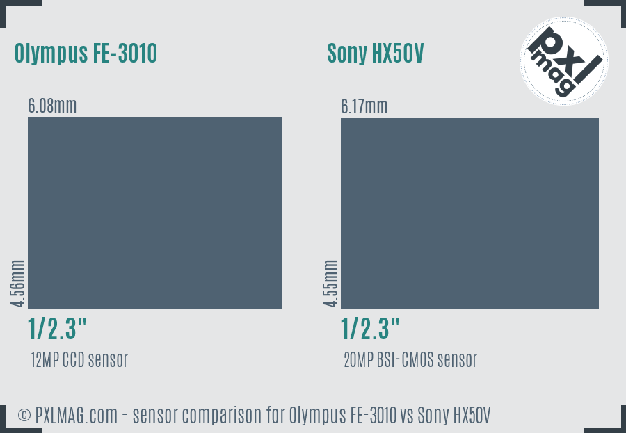 Olympus FE-3010 vs Sony HX50V sensor size comparison