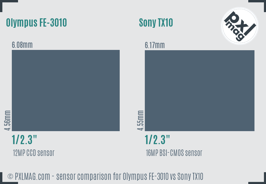 Olympus FE-3010 vs Sony TX10 sensor size comparison