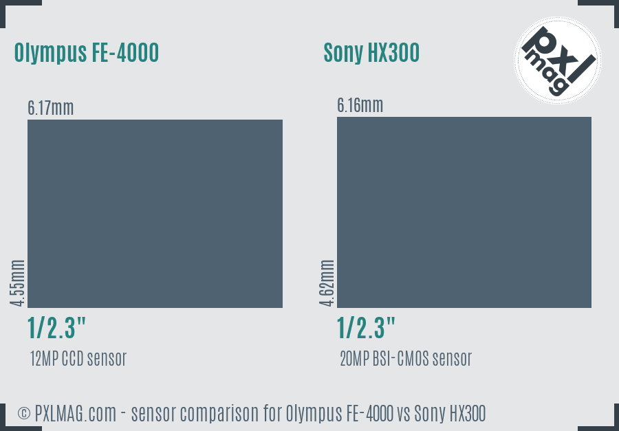 Olympus FE-4000 vs Sony HX300 sensor size comparison
