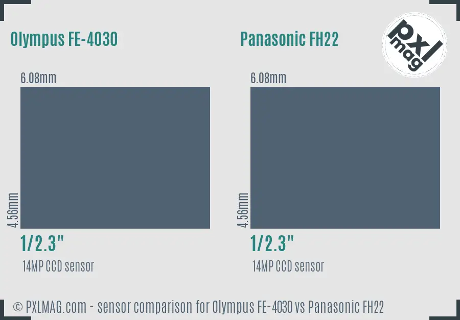 Olympus FE-4030 vs Panasonic FH22 sensor size comparison