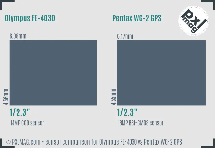 Olympus FE-4030 vs Pentax WG-2 GPS sensor size comparison