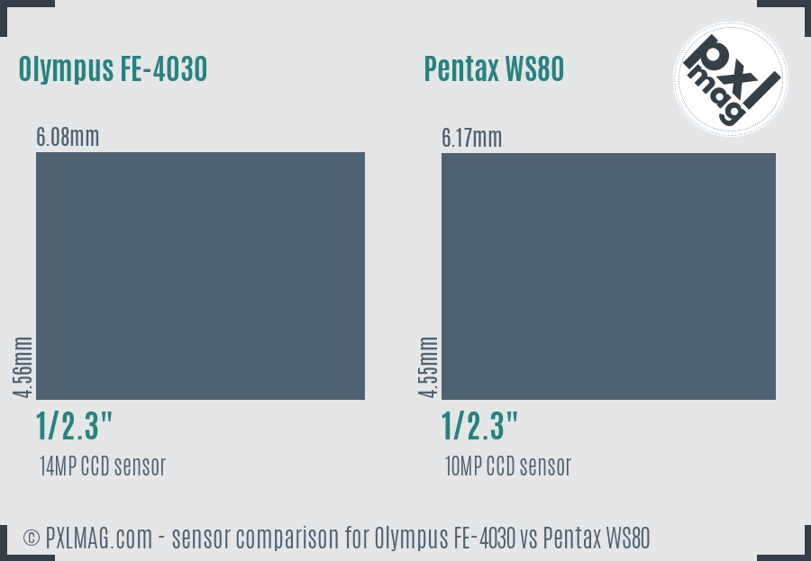 Olympus FE-4030 vs Pentax WS80 sensor size comparison