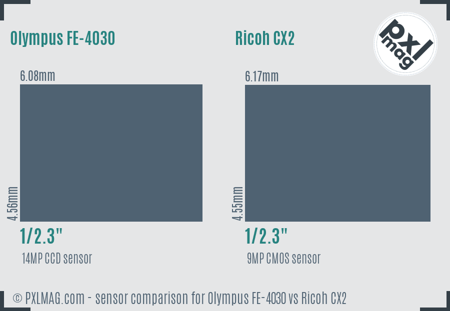 Olympus FE-4030 vs Ricoh CX2 sensor size comparison