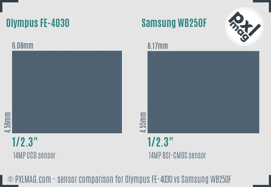 Olympus FE-4030 vs Samsung WB250F sensor size comparison