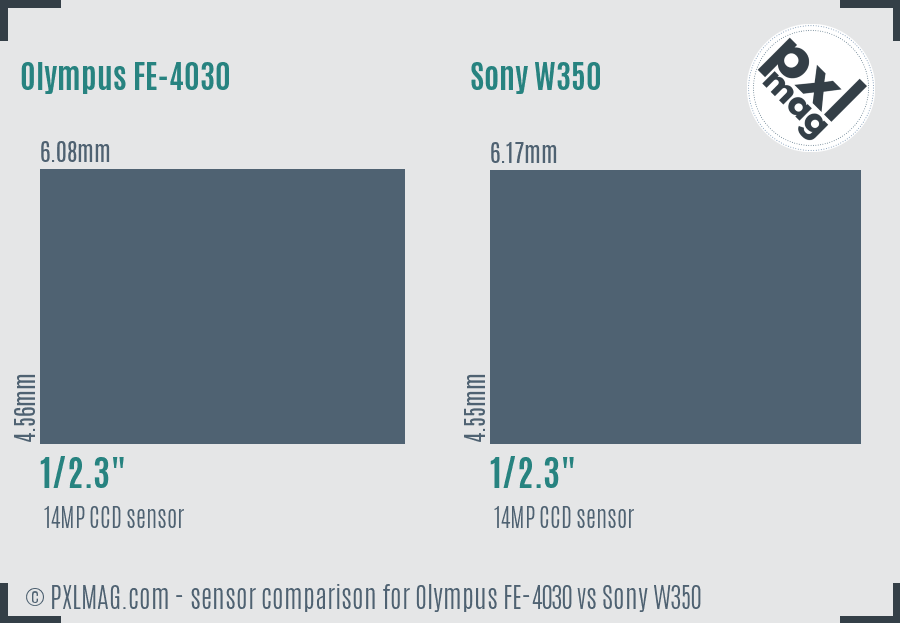 Olympus FE-4030 vs Sony W350 sensor size comparison