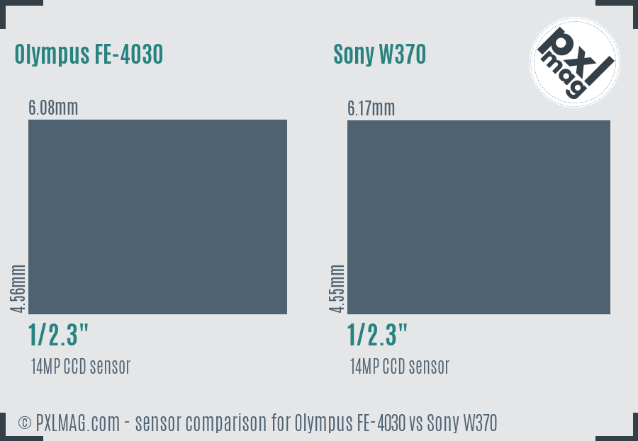 Olympus FE-4030 vs Sony W370 sensor size comparison
