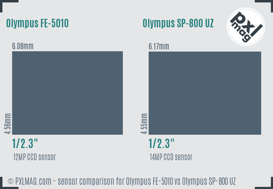 Olympus FE-5010 vs Olympus SP-800 UZ sensor size comparison