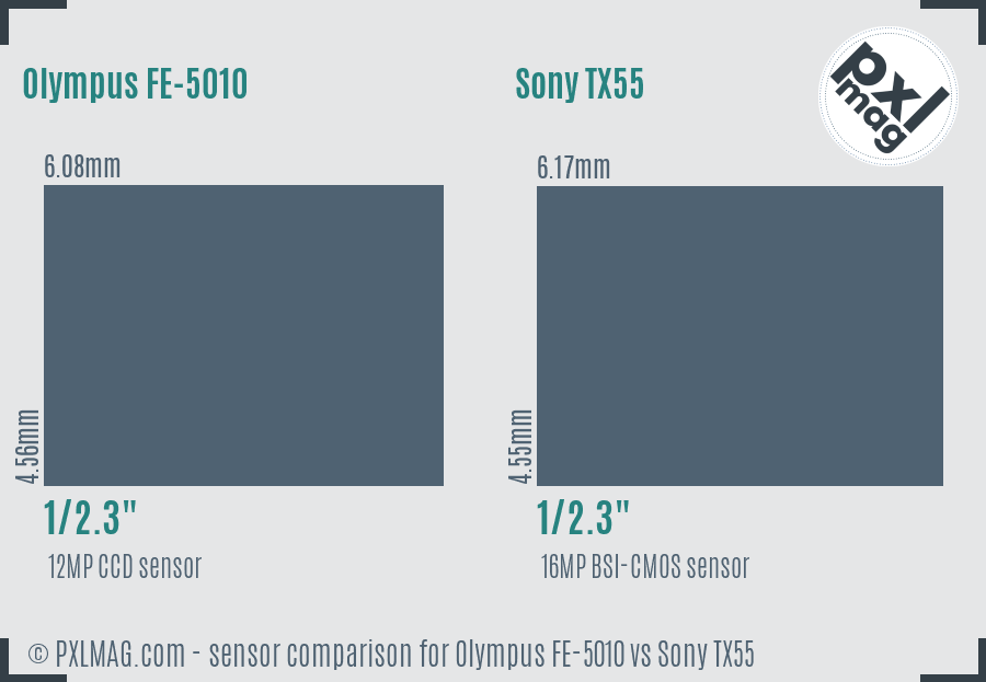 Olympus FE-5010 vs Sony TX55 sensor size comparison