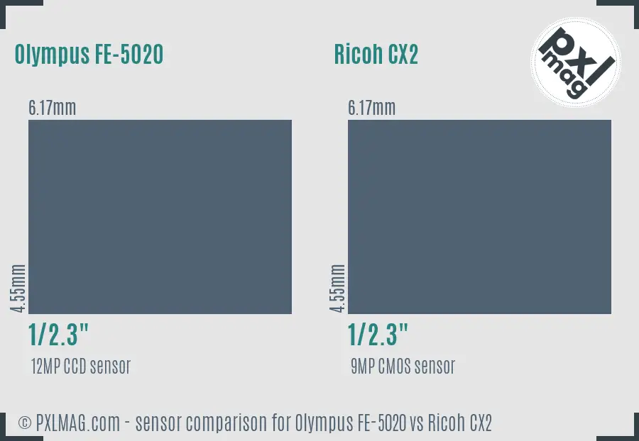 Olympus FE-5020 vs Ricoh CX2 sensor size comparison Olympus FE-5020 vs Ricoh CX2 sensor size comparison