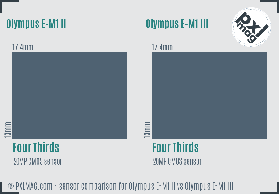 Olympus E-M1 II vs Olympus E-M1 III sensor size comparison