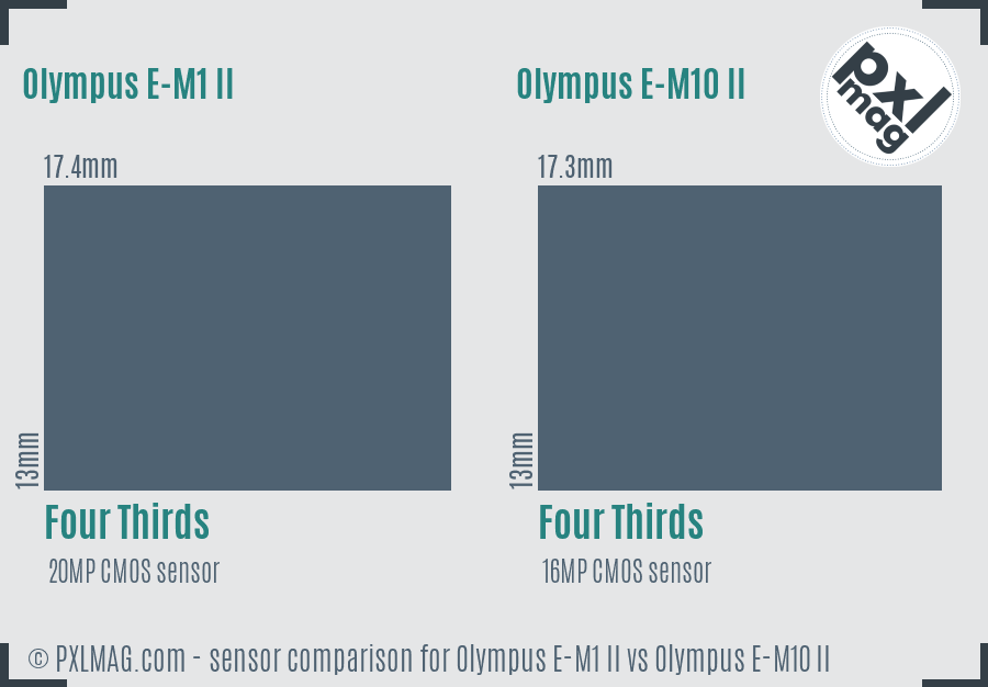 Olympus E-M1 II vs Olympus E-M10 II sensor size comparison
