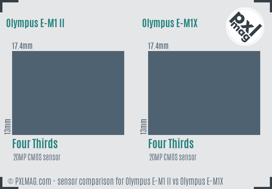 Olympus E-M1 II vs Olympus E-M1X sensor size comparison