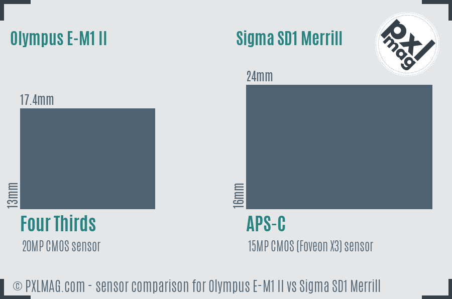 Olympus E-M1 II vs Sigma SD1 Merrill sensor size comparison