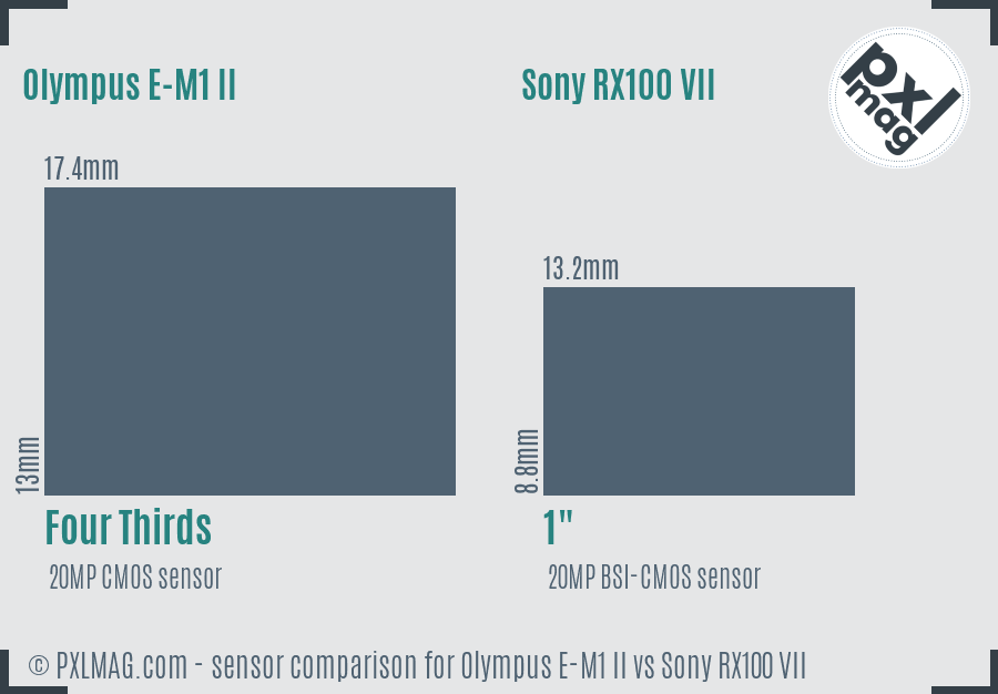 Olympus E-M1 II vs Sony RX100 VII sensor size comparison Olympus E-M1 II vs Sony RX100 VII sensor size comparison