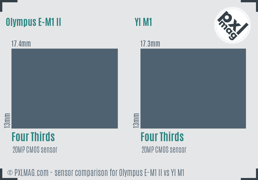 Olympus E-M1 II vs YI M1 sensor size comparison