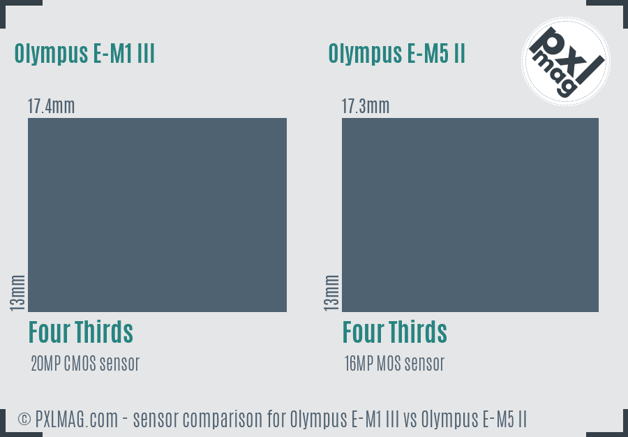 Olympus E-M1 III vs Olympus E-M5 II sensor size comparison