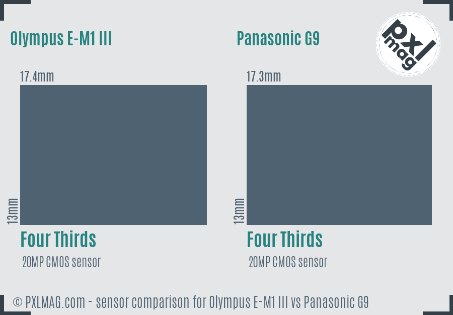 Olympus E-M1 III vs Panasonic G9 sensor size comparison