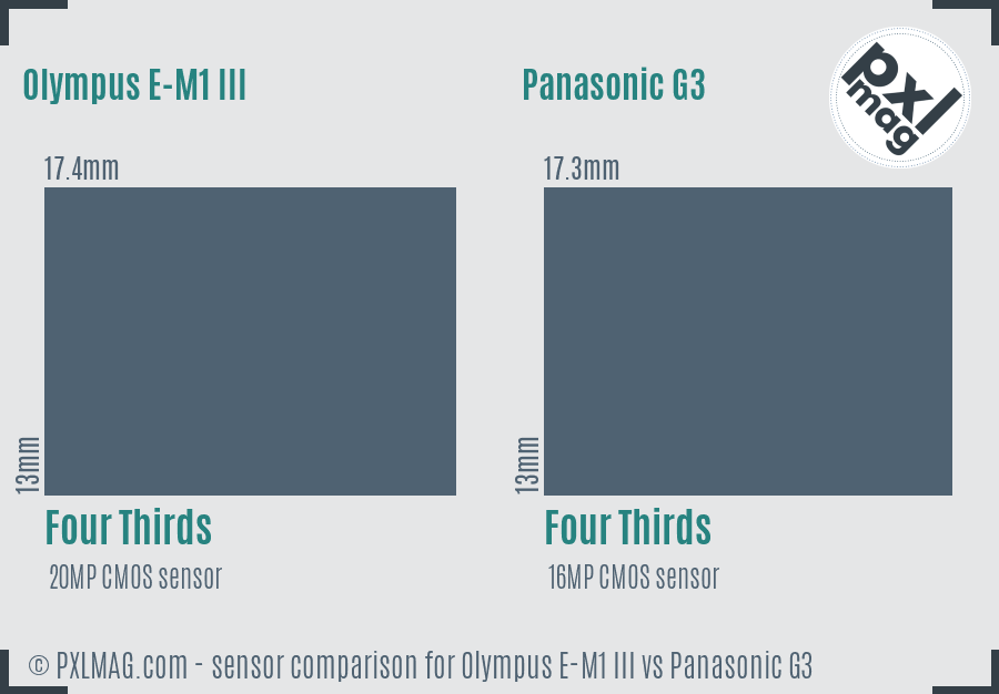 Olympus E-M1 III vs Panasonic G3 sensor size comparison