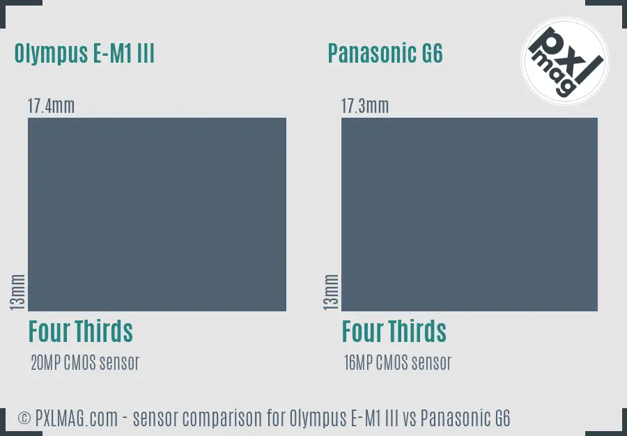 Olympus E-M1 III vs Panasonic G6 sensor size comparison