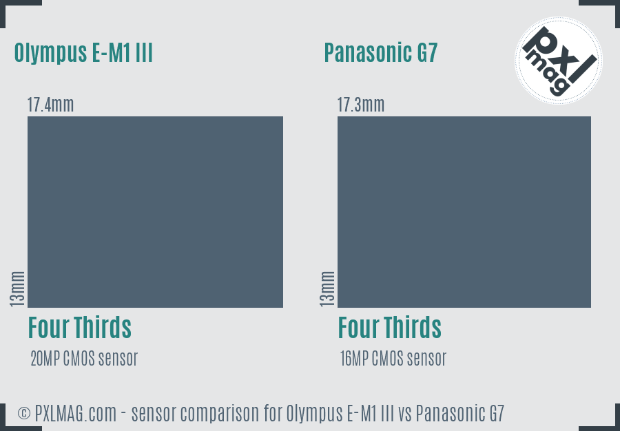 Olympus E-M1 III vs Panasonic G7 sensor size comparison
