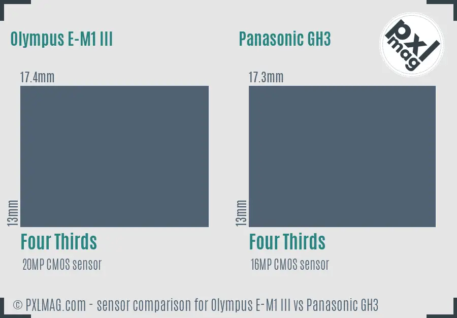 Olympus E-M1 III vs Panasonic GH3 sensor size comparison