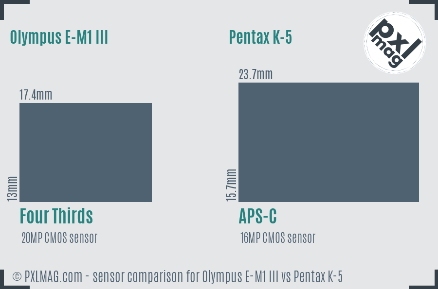 Olympus E-M1 III vs Pentax K-5 sensor size comparison