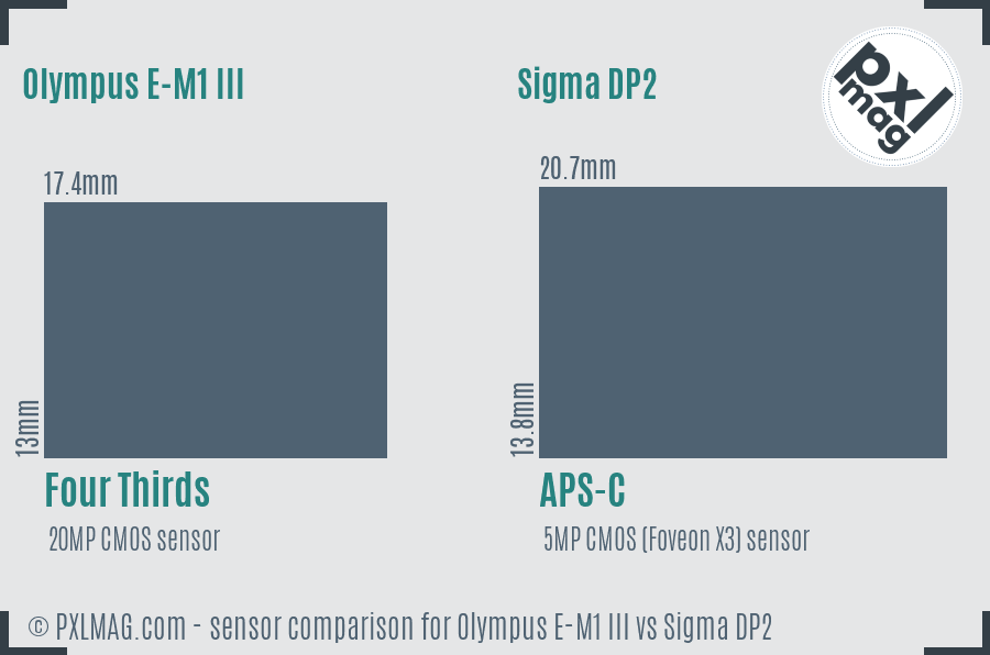 Olympus E-M1 III vs Sigma DP2 sensor size comparison