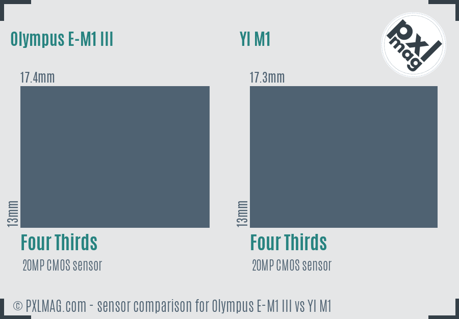 Olympus E-M1 III vs YI M1 sensor size comparison