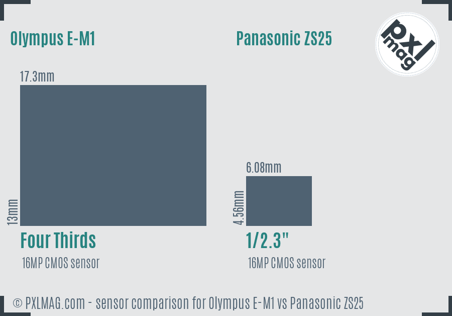 Olympus E-M1 vs Panasonic ZS25 sensor size comparison