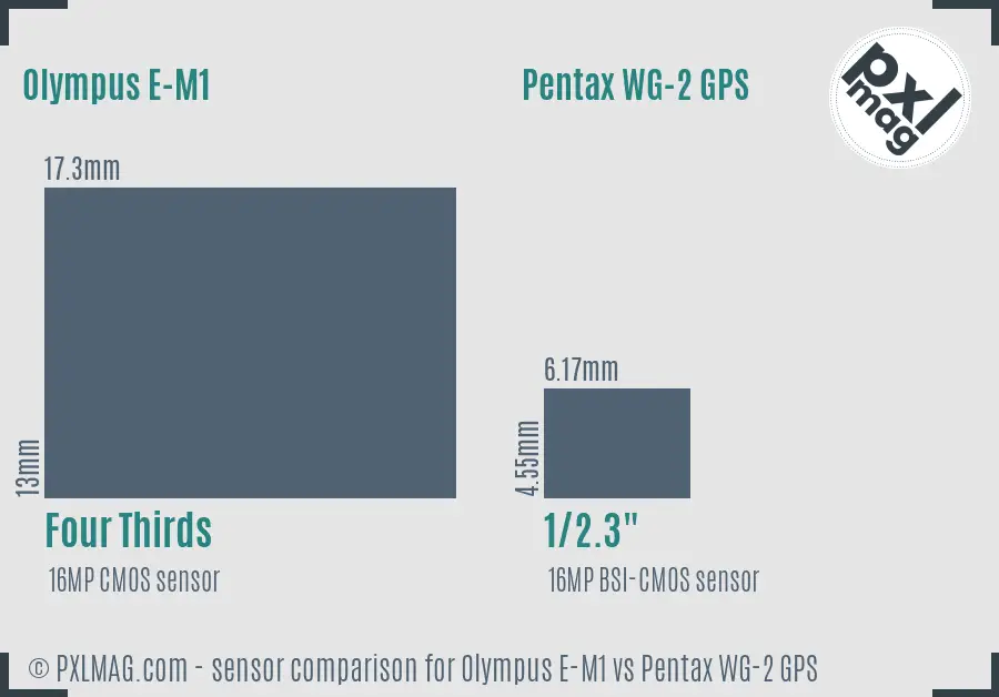 Olympus E-M1 vs Pentax WG-2 GPS sensor size comparison