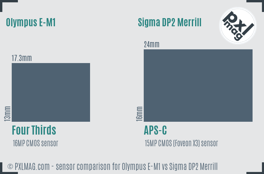 Olympus E-M1 vs Sigma DP2 Merrill sensor size comparison