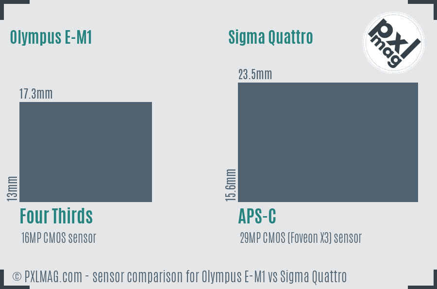 Olympus E-M1 vs Sigma Quattro sensor size comparison