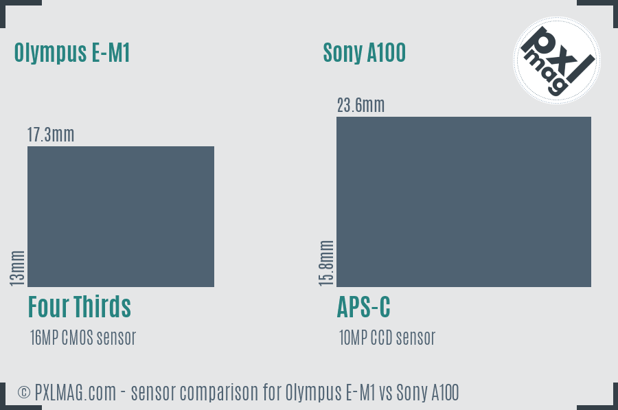 Olympus E-M1 vs Sony A100 sensor size comparison