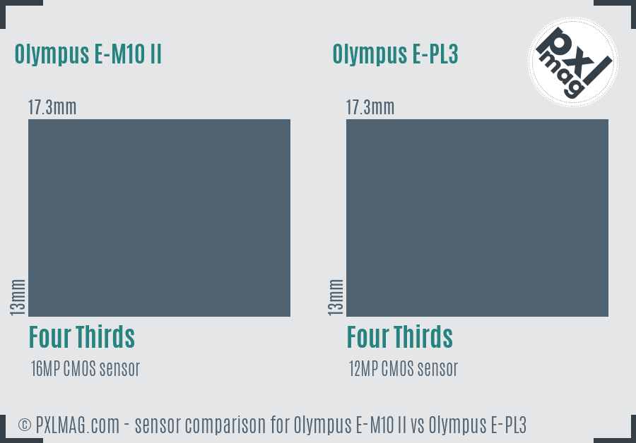 Olympus E-M10 II vs Olympus E-PL3 sensor size comparison