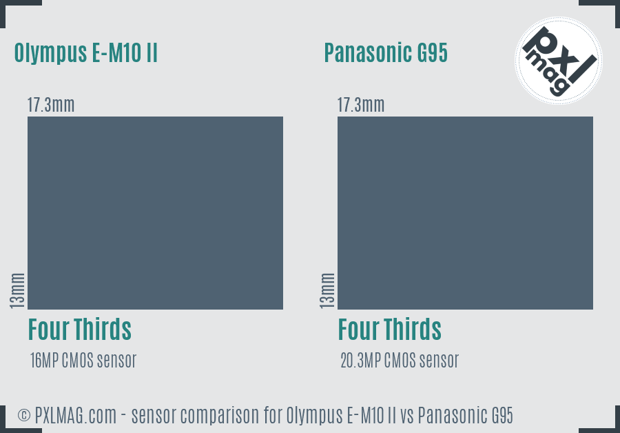 Olympus E-M10 II vs Panasonic G95 sensor size comparison