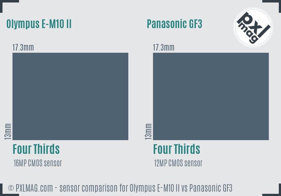 Olympus E-M10 II vs Panasonic GF3 sensor size comparison