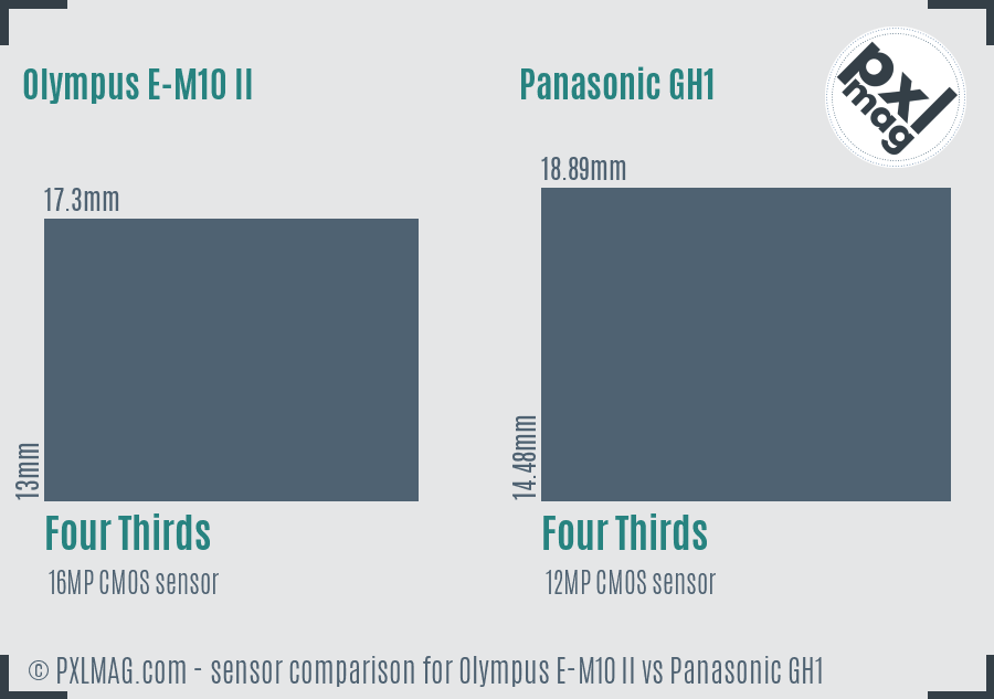 Olympus E-M10 II vs Panasonic GH1 sensor size comparison