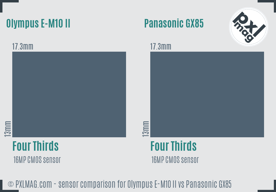 Olympus E-M10 II vs Panasonic GX85 sensor size comparison