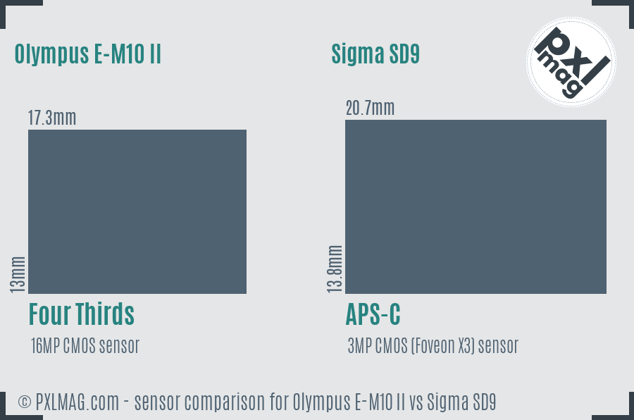 Olympus E-M10 II vs Sigma SD9 sensor size comparison