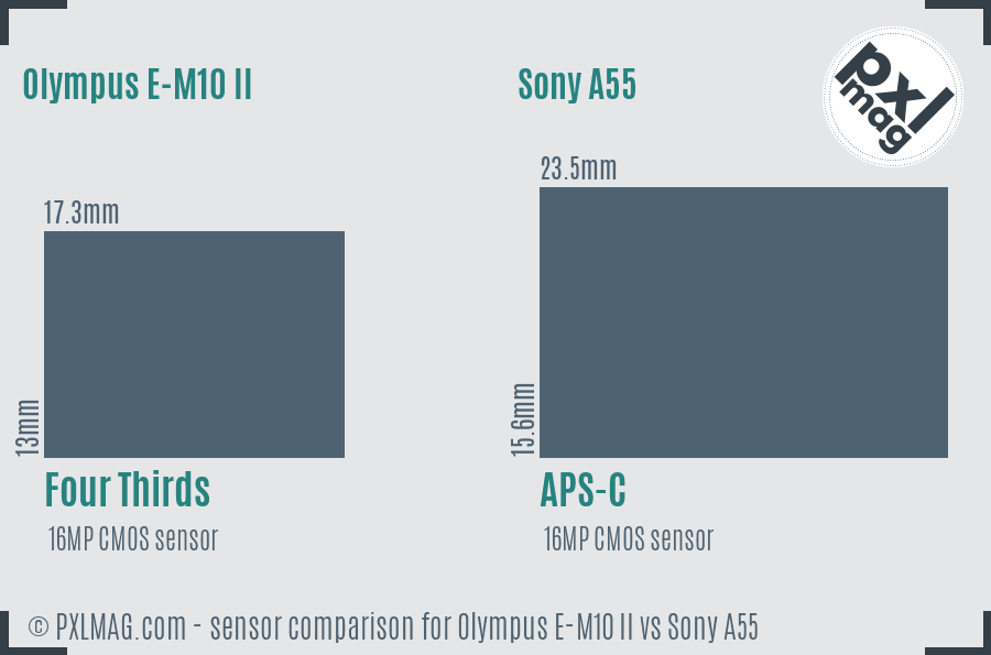 Olympus E-M10 II vs Sony A55 sensor size comparison